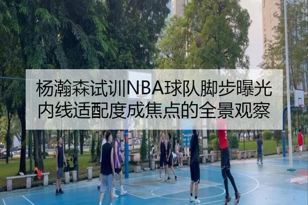杨瀚森试训NBA球队脚步曝光 内线适配度成焦点的全景观察